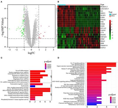 The Discovery, Validation, and Function of Hypoxia-Related Gene Biomarkers for Obstructive Sleep Apnea